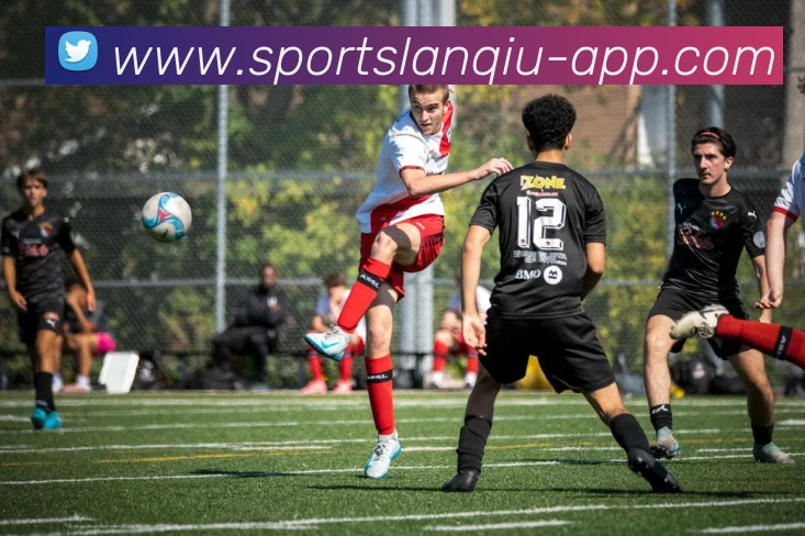 篮球赌注平台生态图